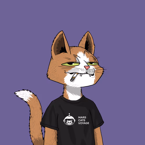 Mars Cat #37