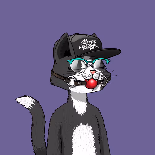 Mars Cat #691