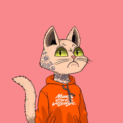 Mars Cat #2136