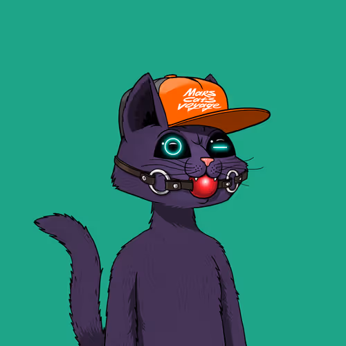 Mars Cat #2684