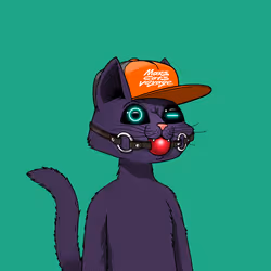 Mars Cat #2684