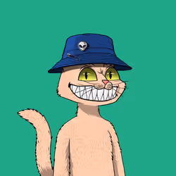 Mars Cat #5272