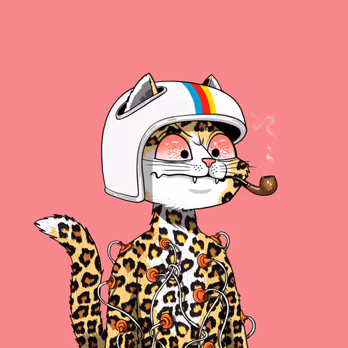Mars Cat #1451