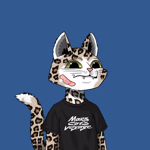 Mars Cat #1579