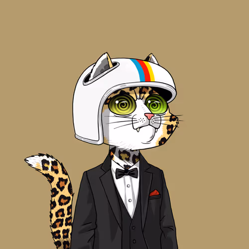 Mars Cat #323