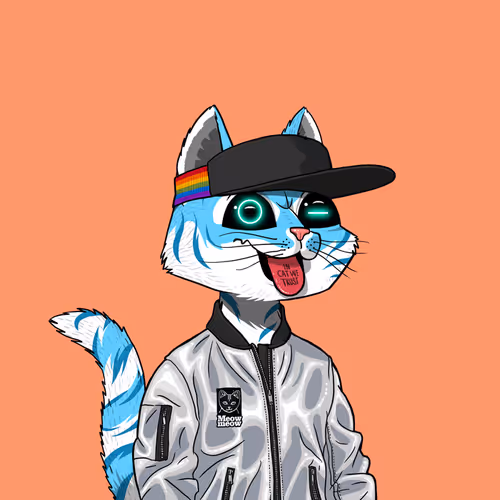Marscatsvoyage