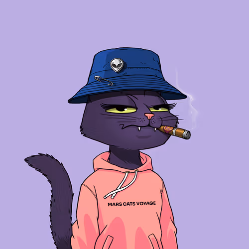 Mars Cat #2551