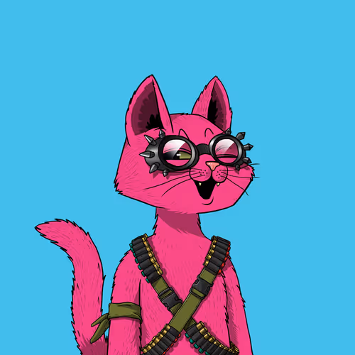 Mars Cat #6276