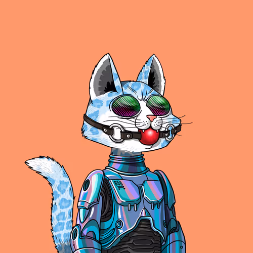 Mars Cat #2111