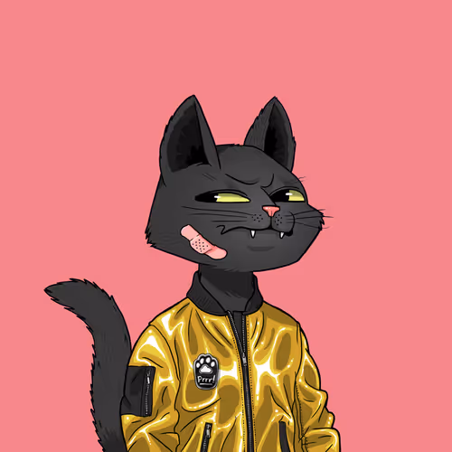 Mars Cat #2317