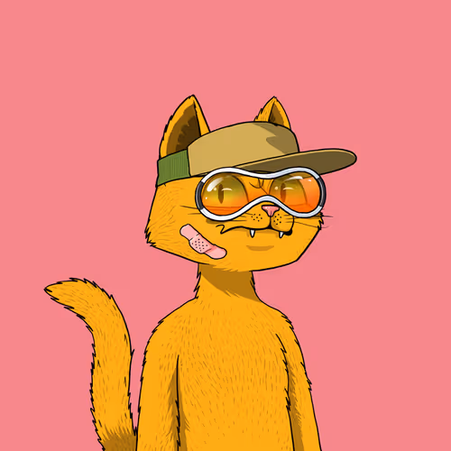 Mars Cat #778