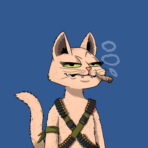 Mars Cat #5546