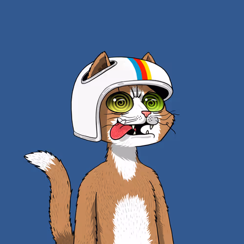 Mars Cat #8716