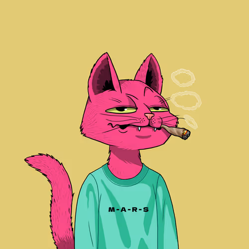 Mars Cat #477
