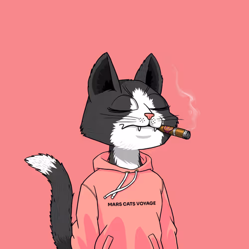 Mars Cat #9965