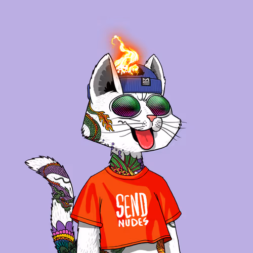 Mars Cat #1647