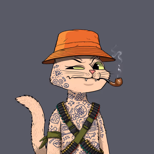 Mars Cat #2268