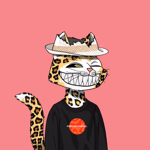 Mars Cat #6794