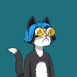 9243