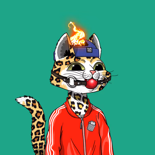 Mars Cat #5387