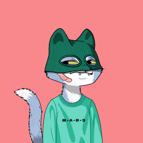 Mars Cat #2373