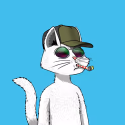 Mars Cat #2084