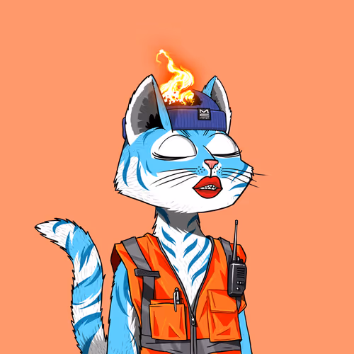 Mars Cat #2946