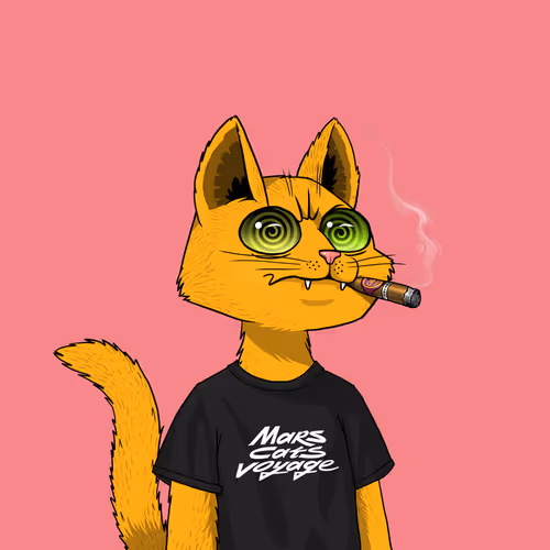 Mars Cat #5918