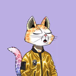 Mars Cat #581