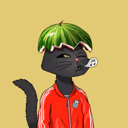 Mars Cat #651