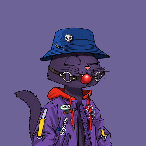 Mars Cat #3187