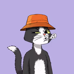 Mars Cat #456