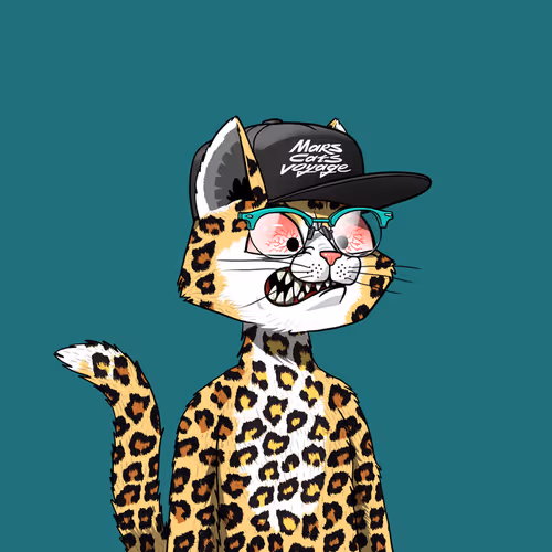 Mars Cat #15