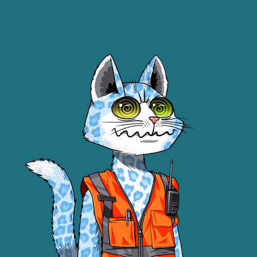 Mars Cat #524