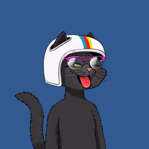 Mars Cat #148