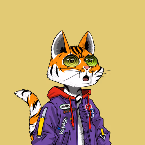 Marscatsvoyage