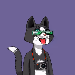 Mars Cat #4905