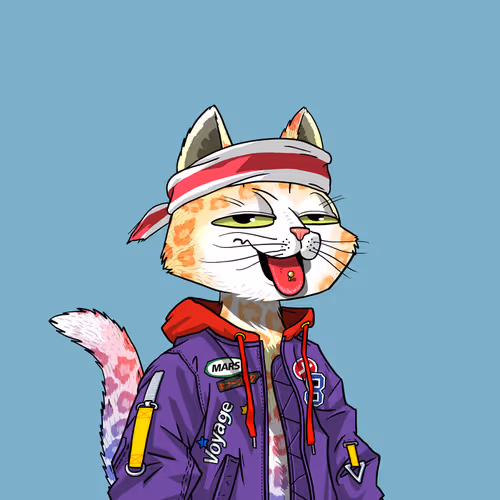 Mars Cat #6058