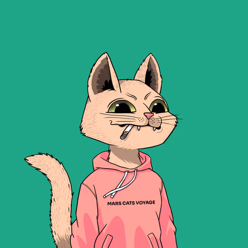 Mars Cat #6216
