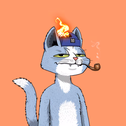 Mars Cat #2011