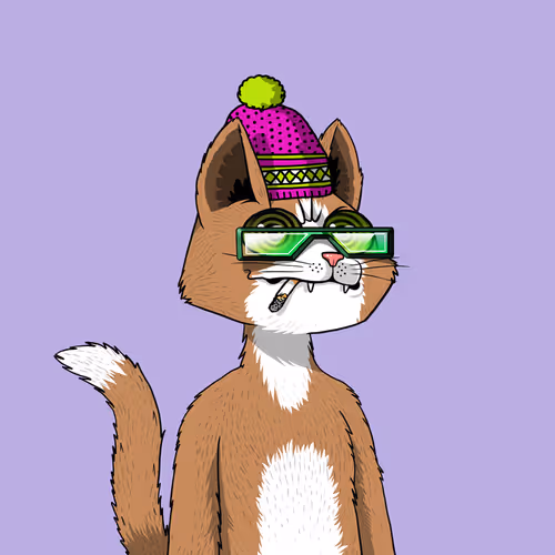 Mars Cat #1416