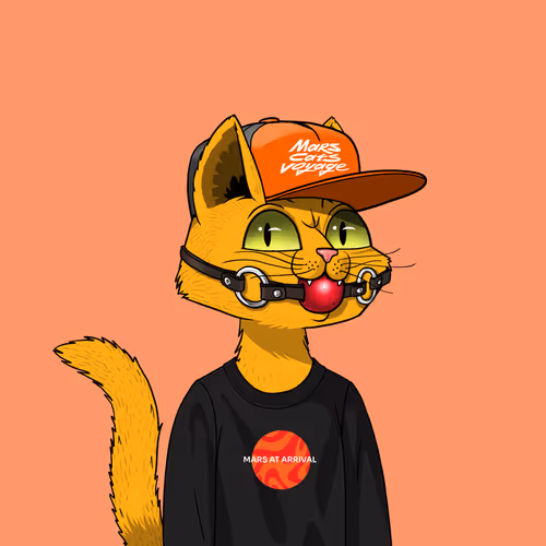 Marscatsvoyage