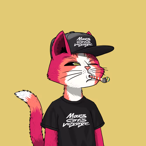 Marscatsvoyage