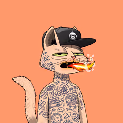 Mars Cat #1503