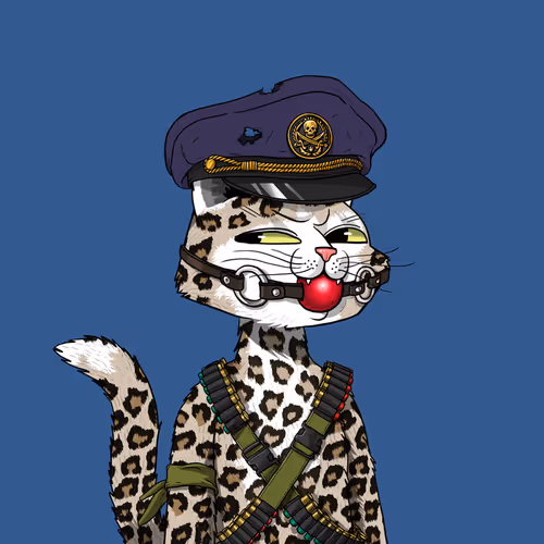 Mars Cat #3727