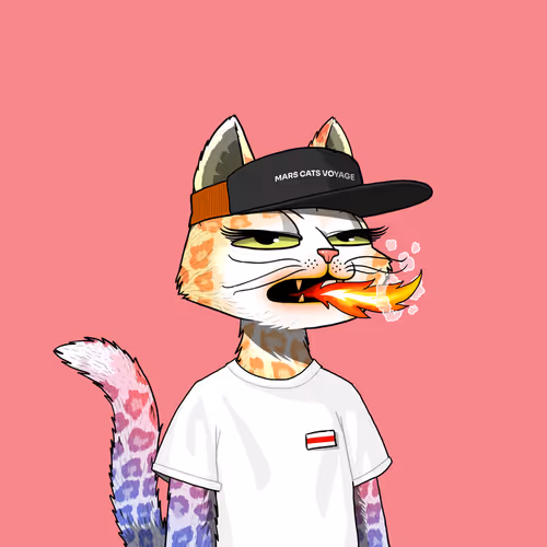 Marscatsvoyage