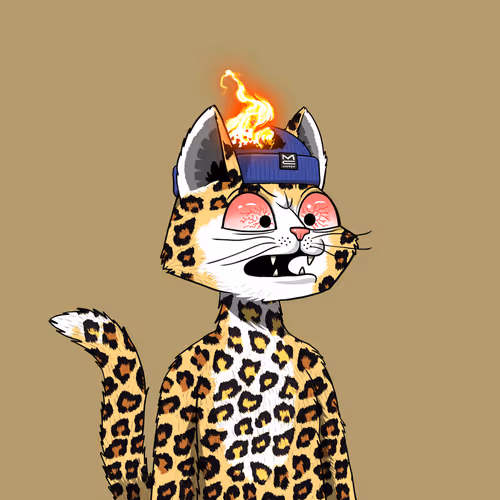Mars Cat #1778
