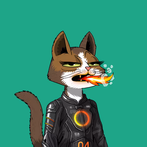 Mars Cat #2462