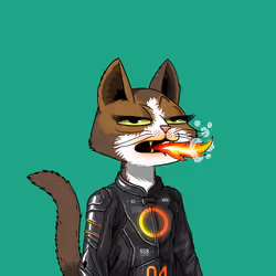 Mars Cat #2462