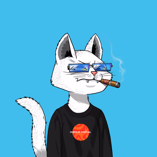 Mars Cat #9922